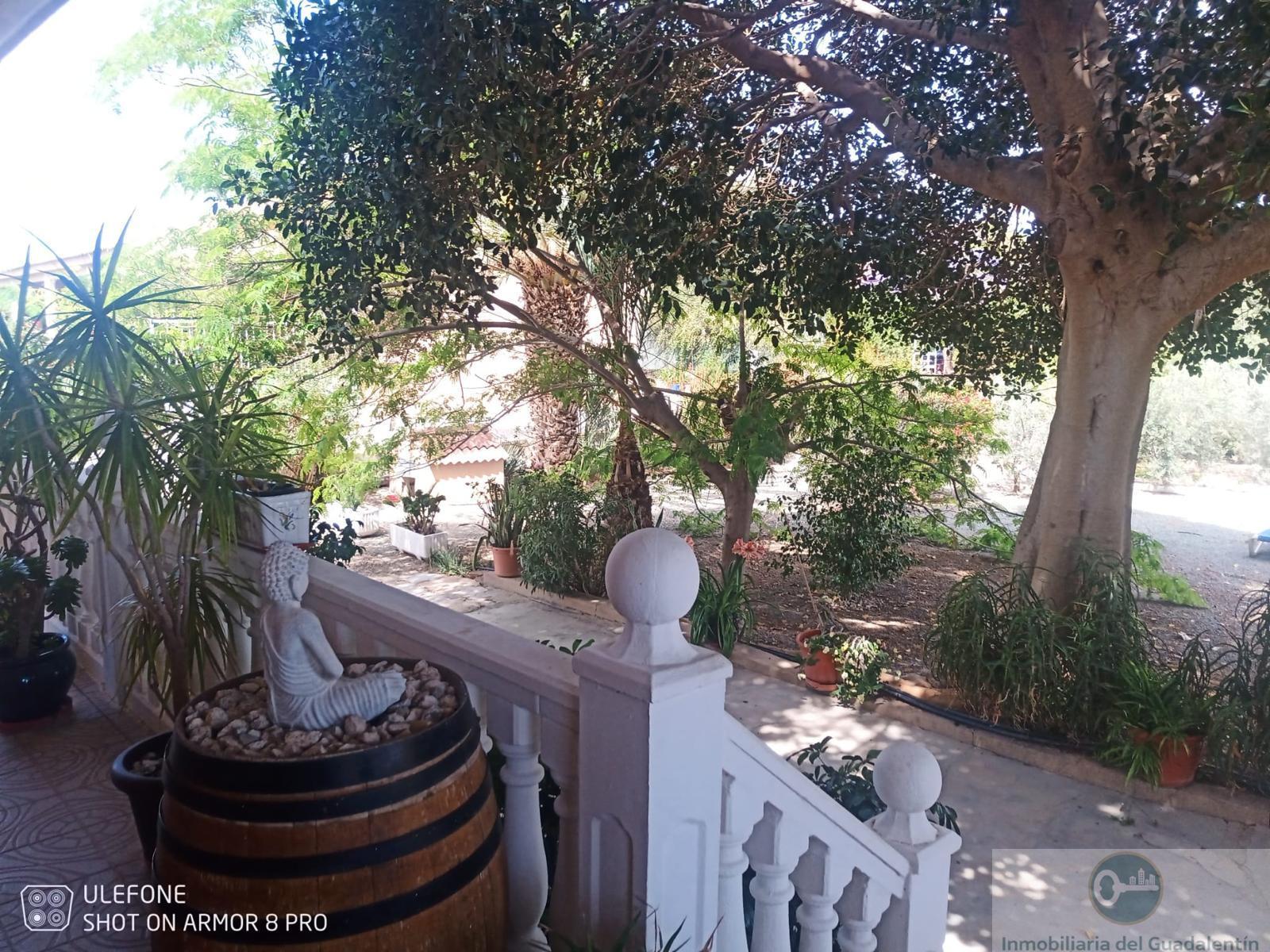 Venta de chalet en Lorca