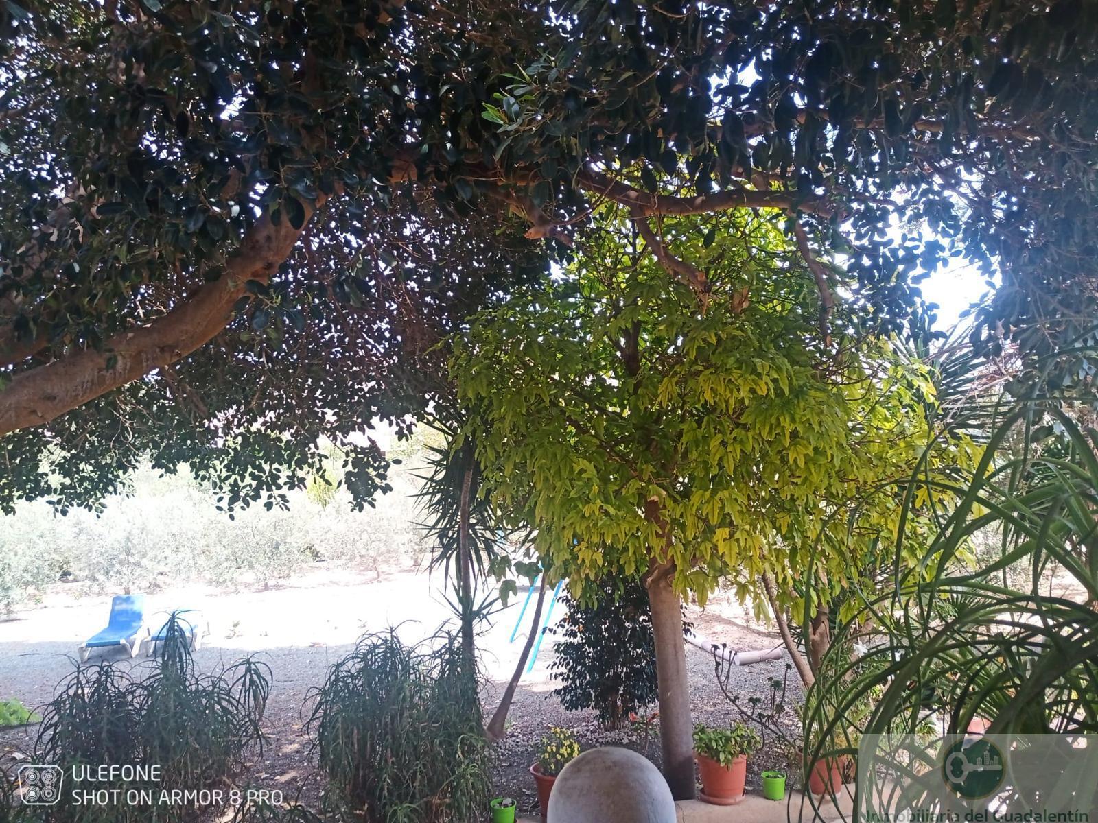 Venta de chalet en Lorca