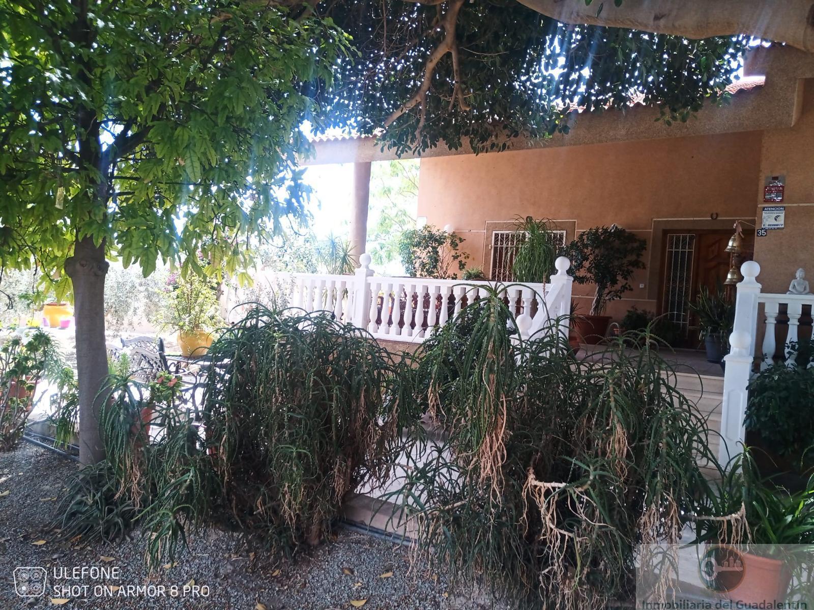 Venta de chalet en Lorca