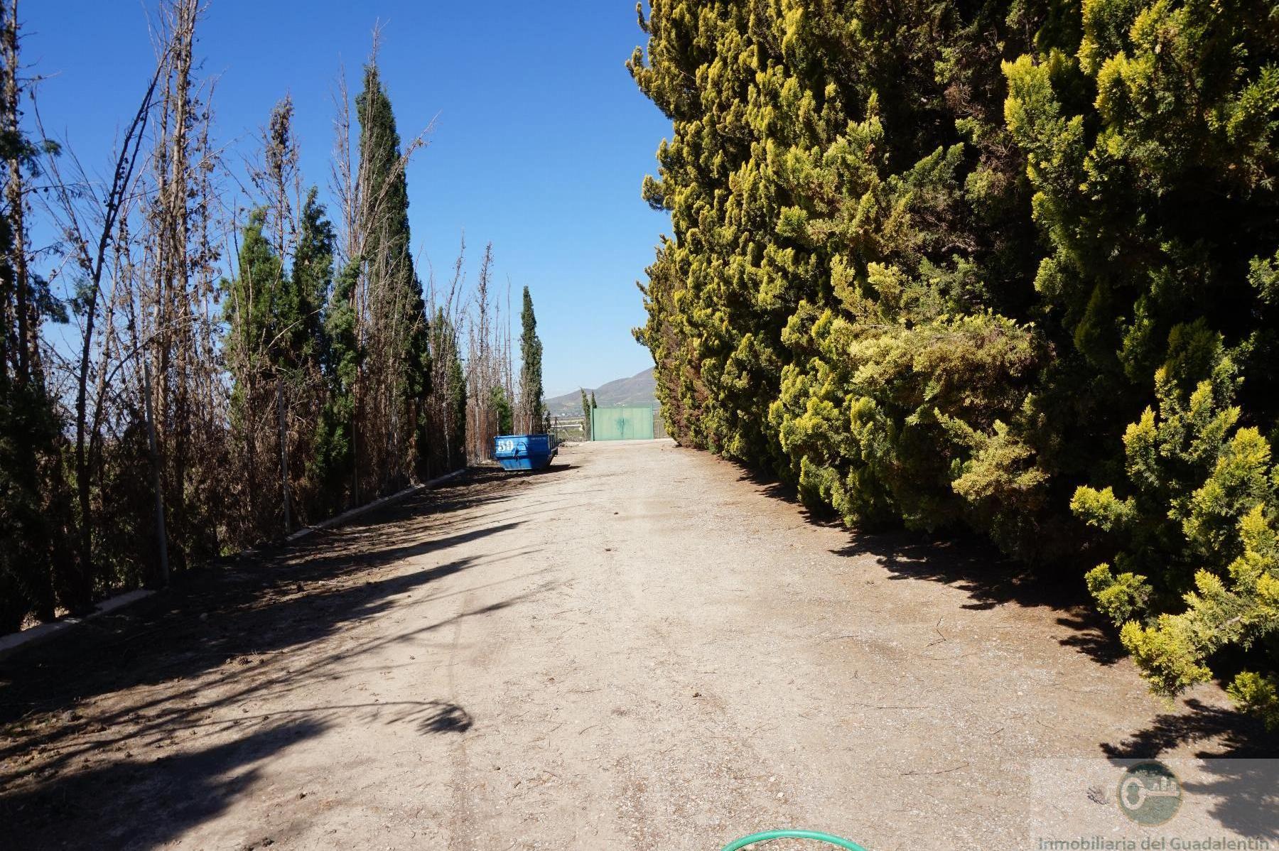 Venta de chalet en Lorca