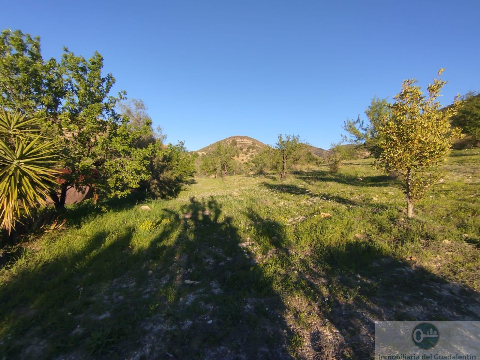 Venta de chalet en Lorca