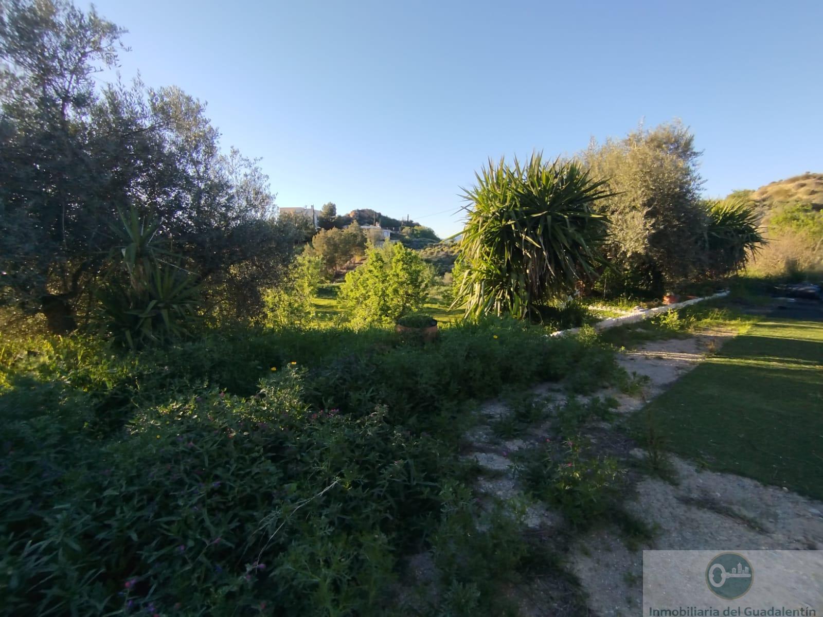 Venta de chalet en Lorca