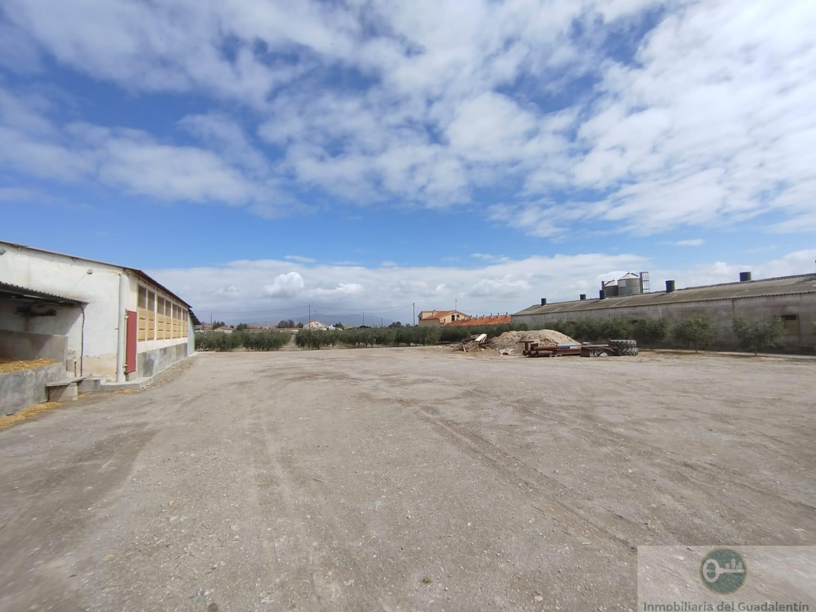 Venta de casa en Lorca