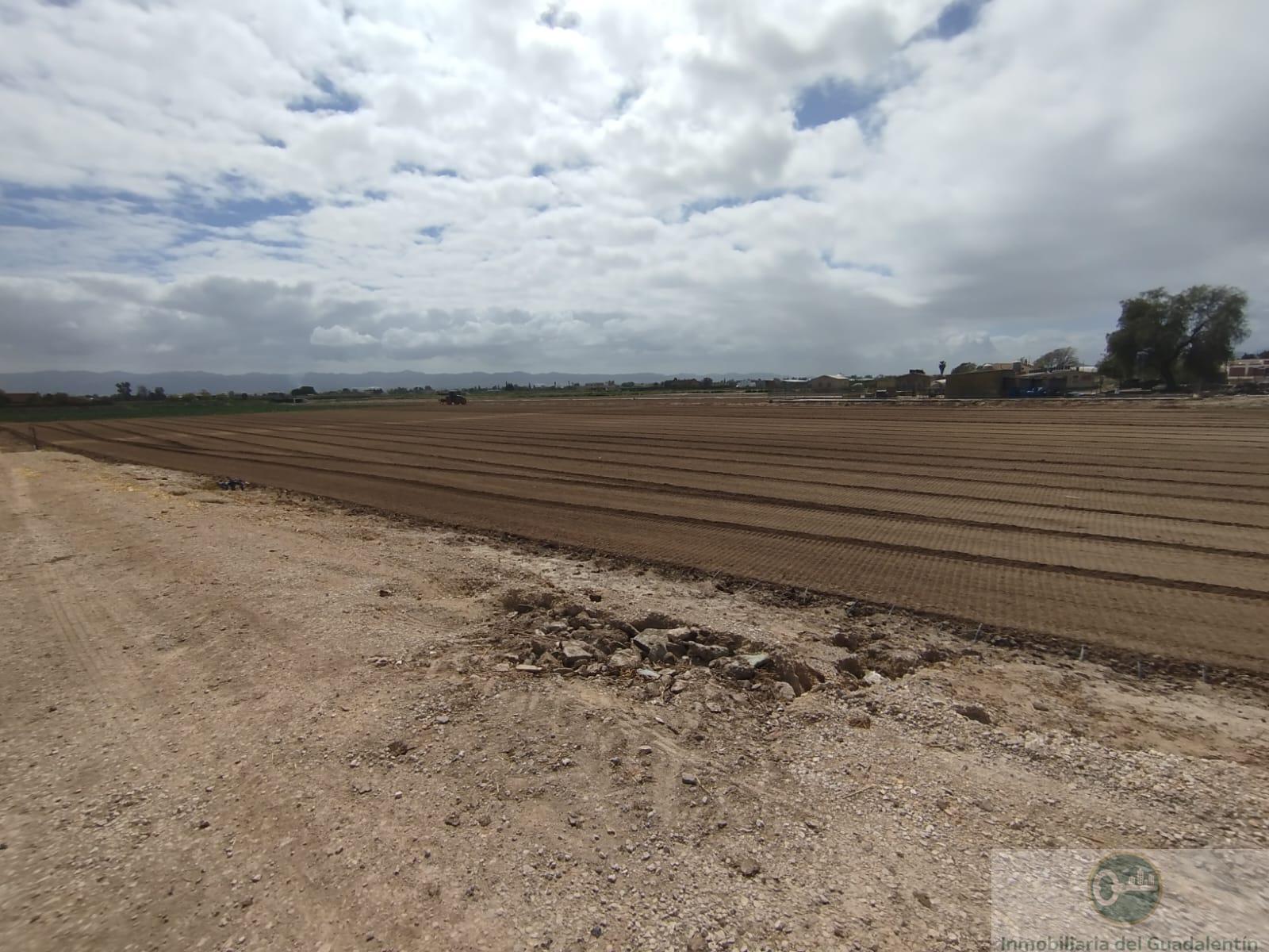 Venta de casa en Lorca