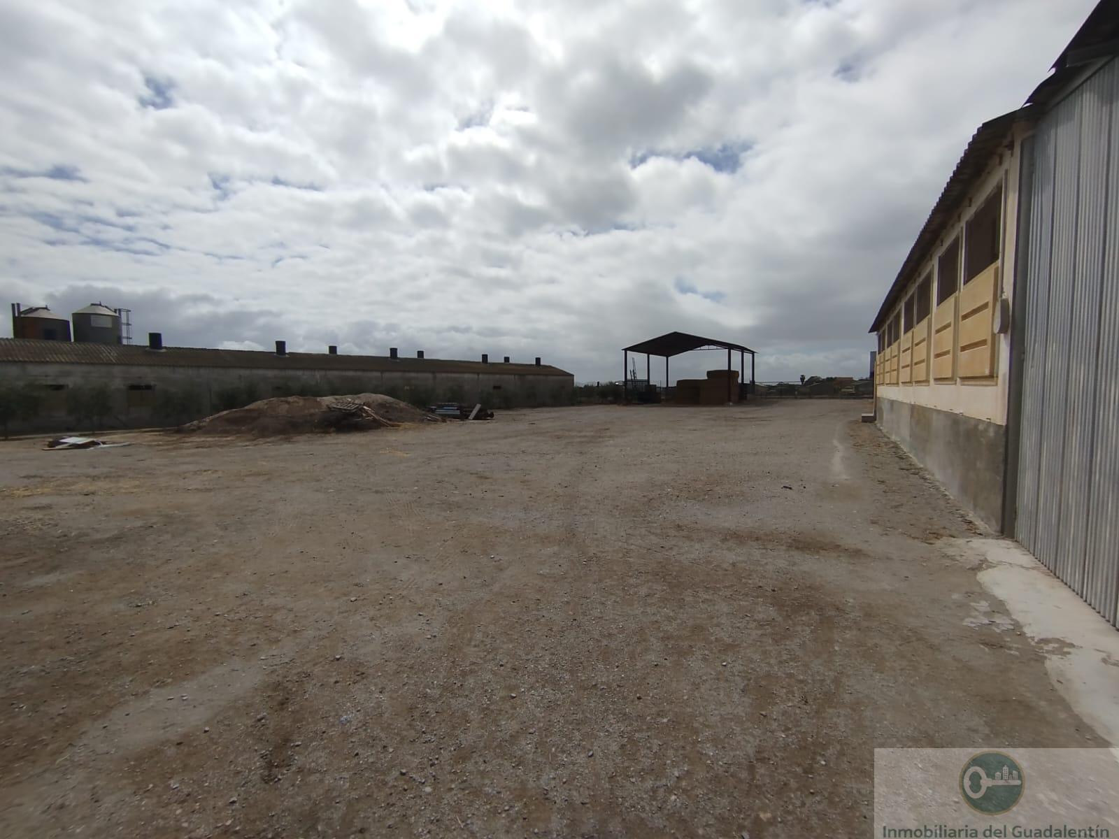 Venta de casa en Lorca