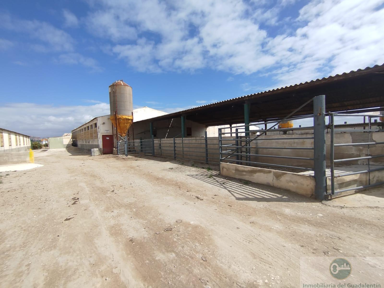 Venta de casa en Lorca