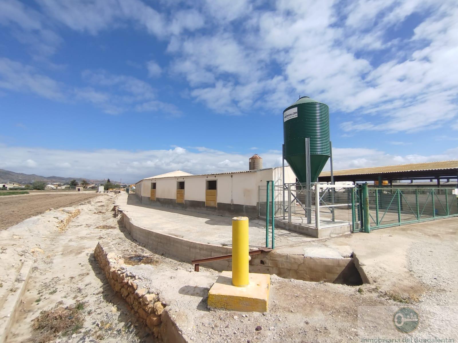 Venta de casa en Lorca