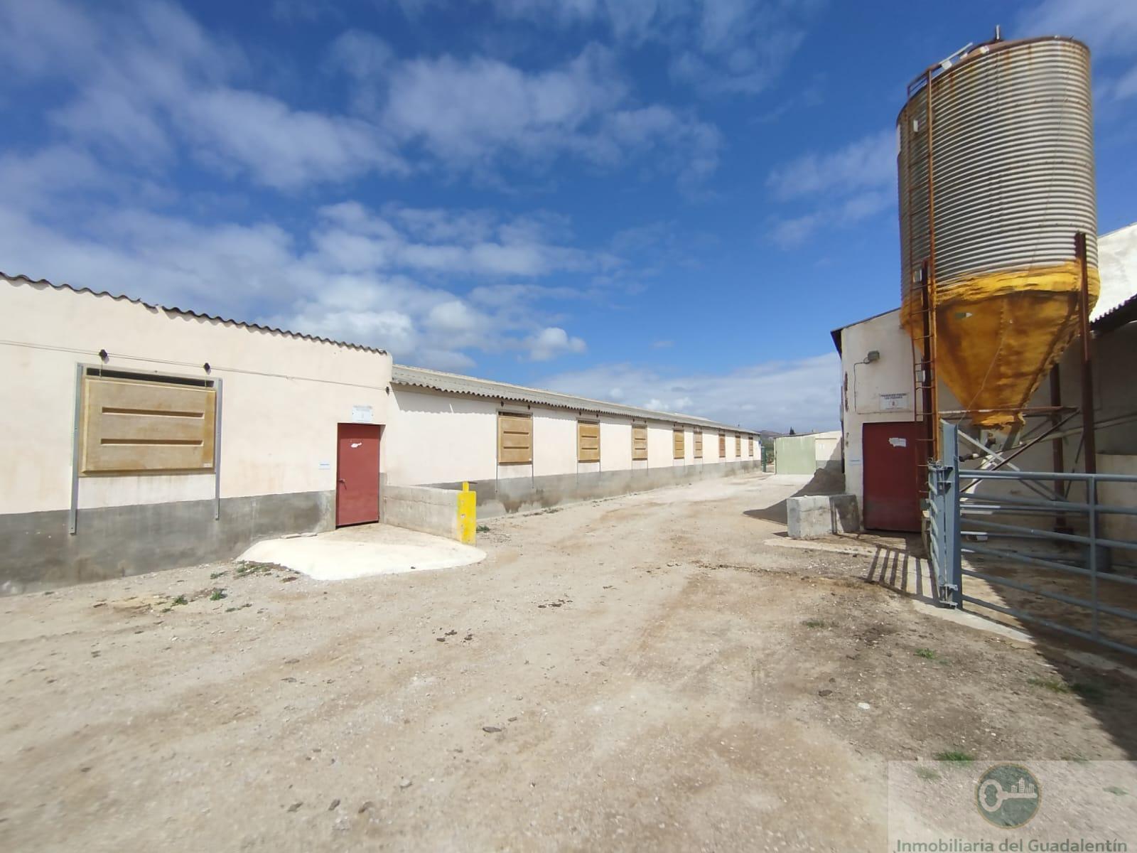 Venta de casa en Lorca