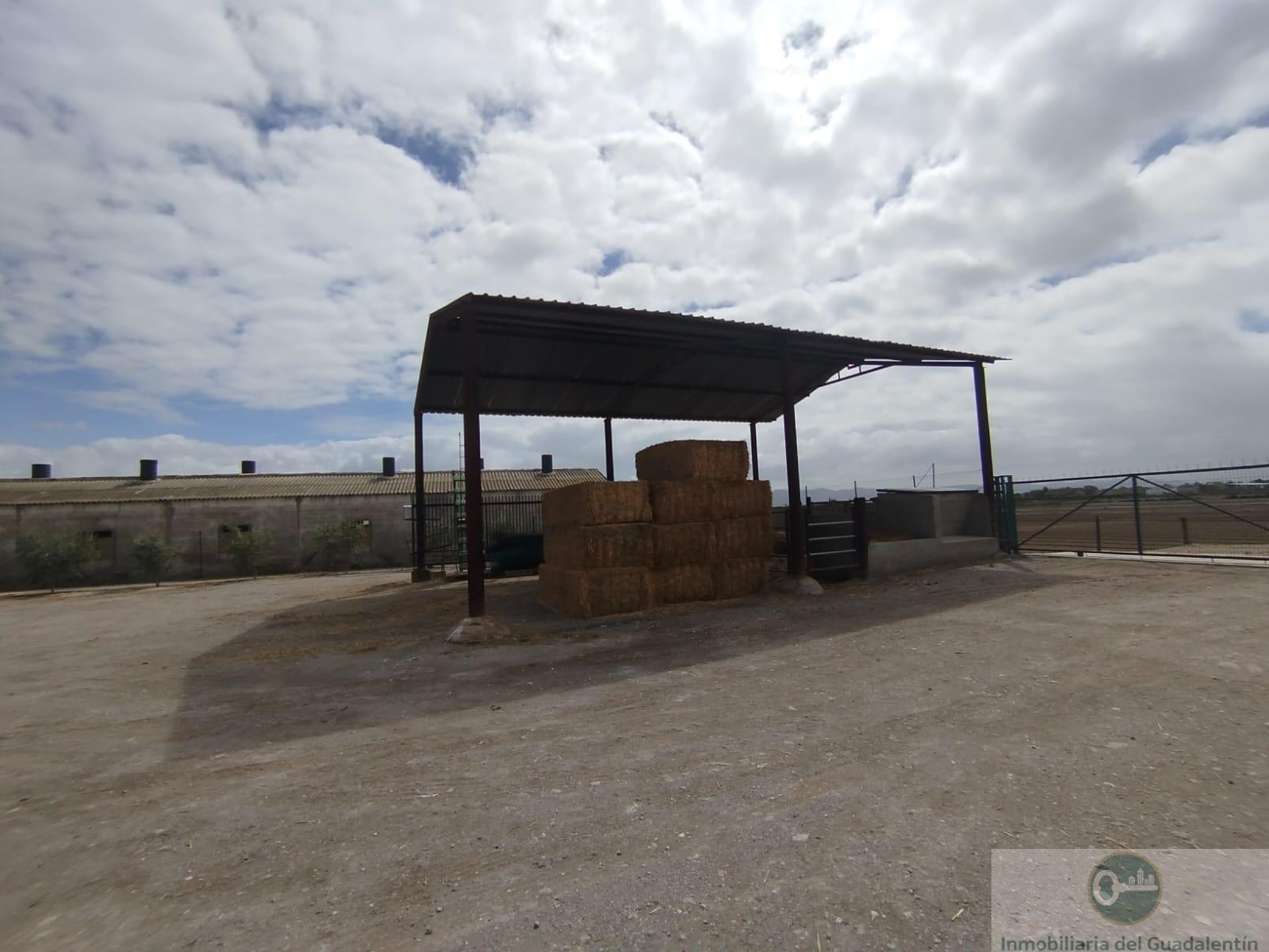 Venta de casa en Lorca