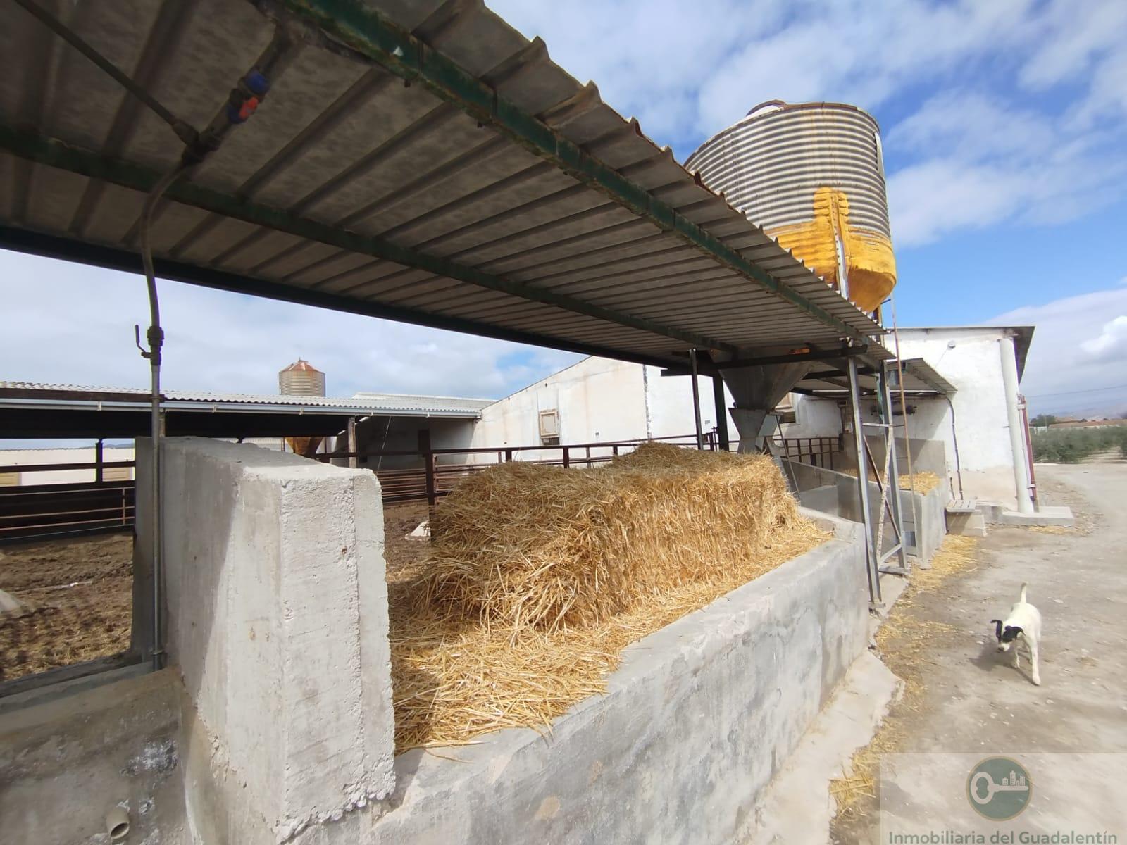 Venta de casa en Lorca