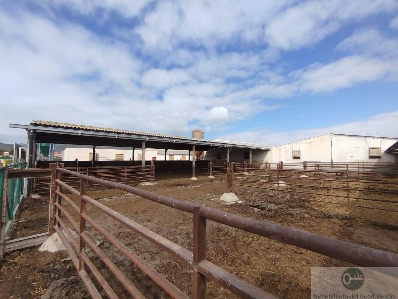 Venta de casa en Lorca