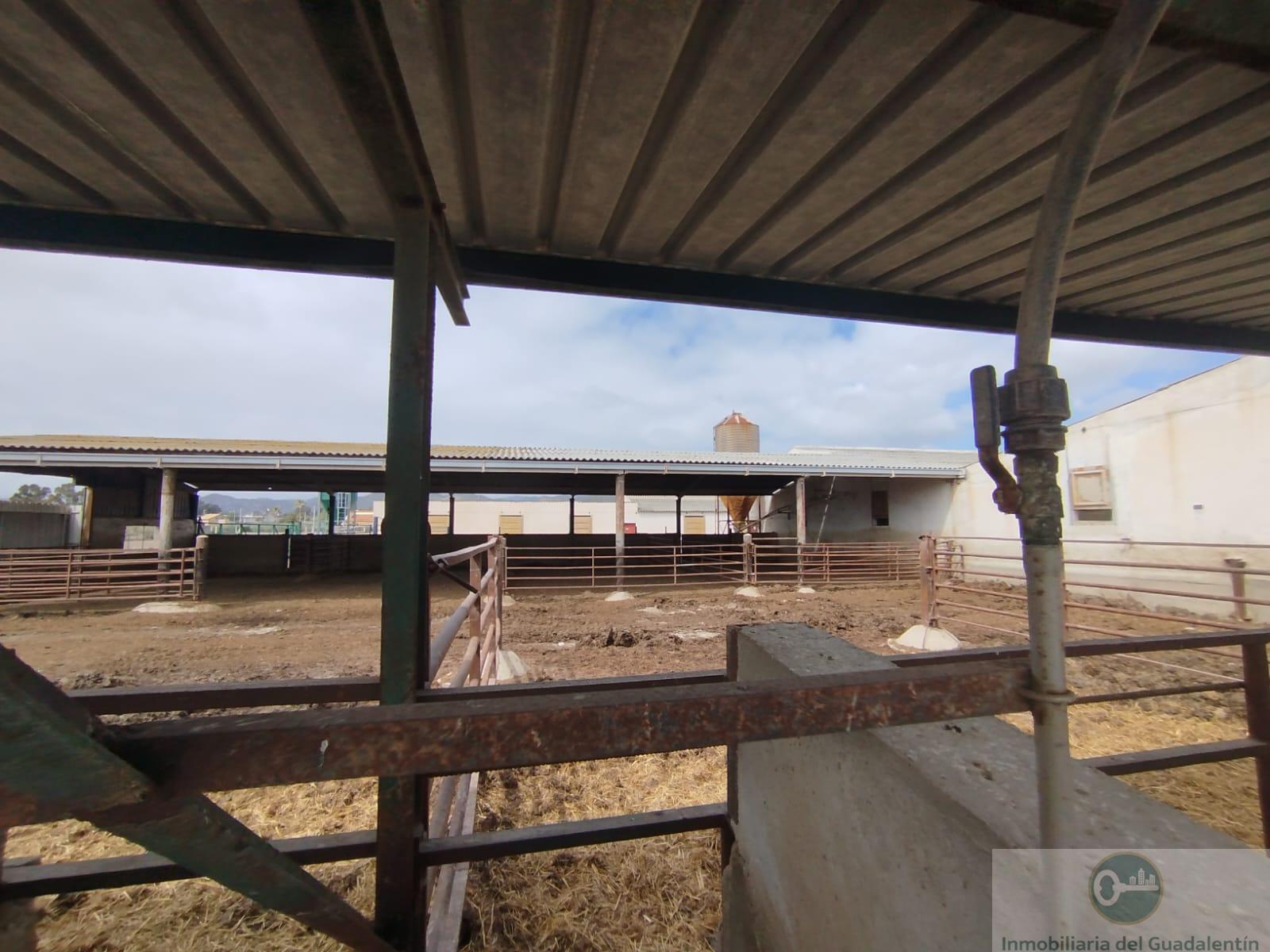 Venta de casa en Lorca