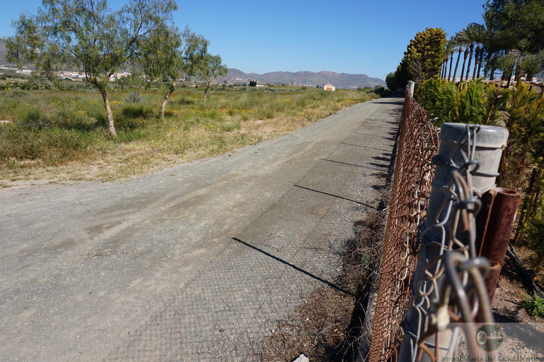 Venta de chalet en Lorca