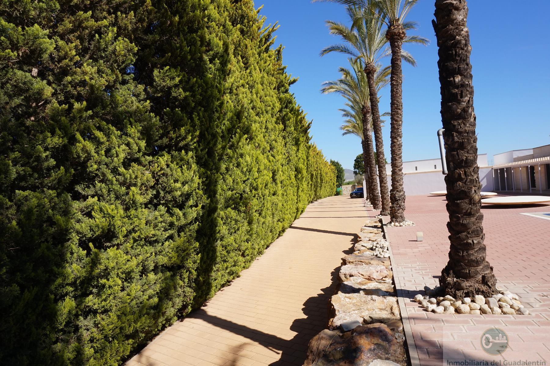 Venta de chalet en Lorca