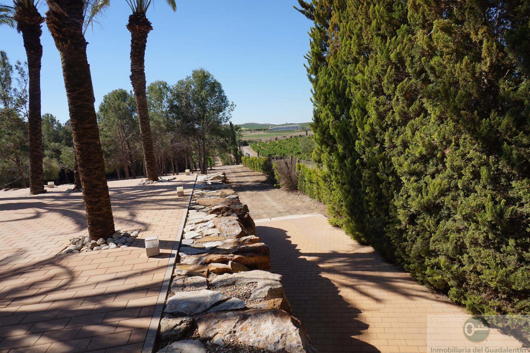 Venta de chalet en Lorca