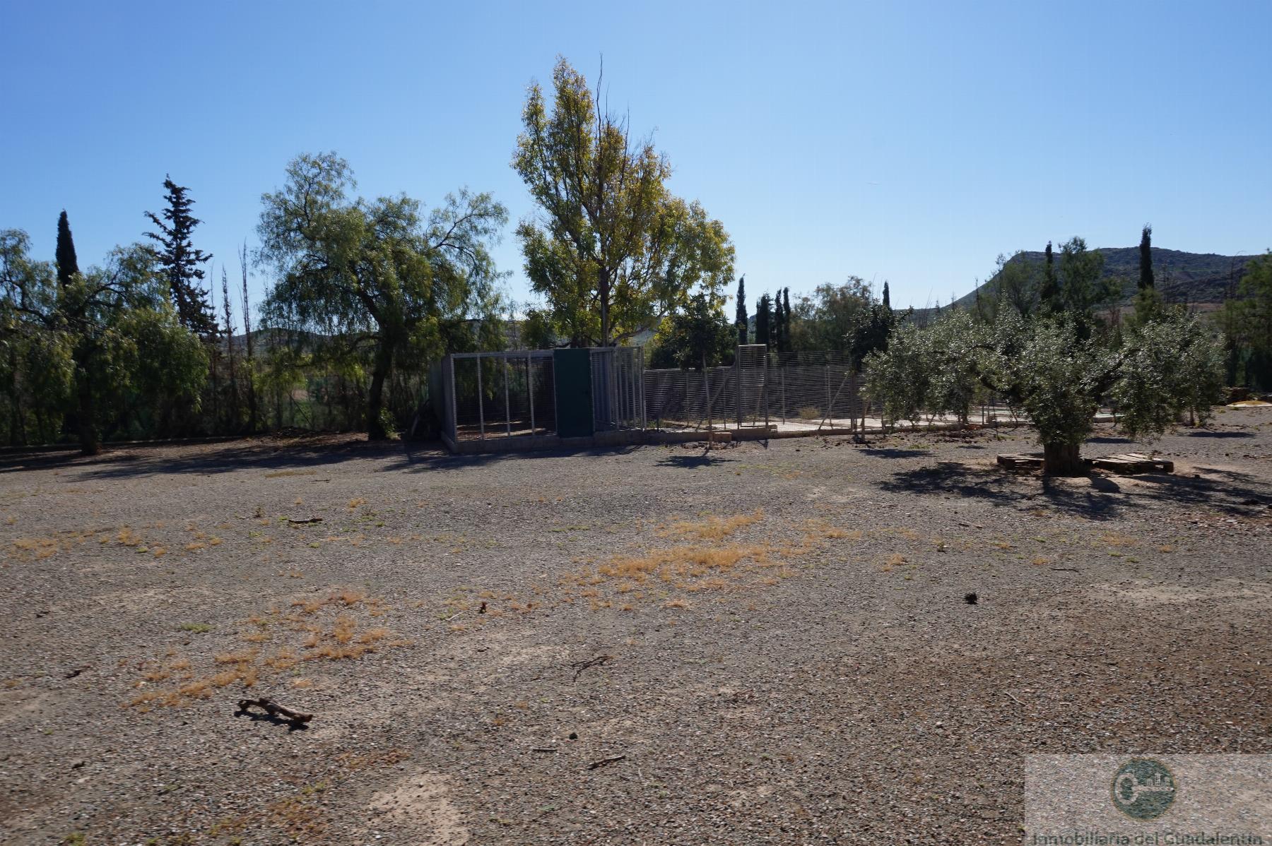 Venta de chalet en Lorca