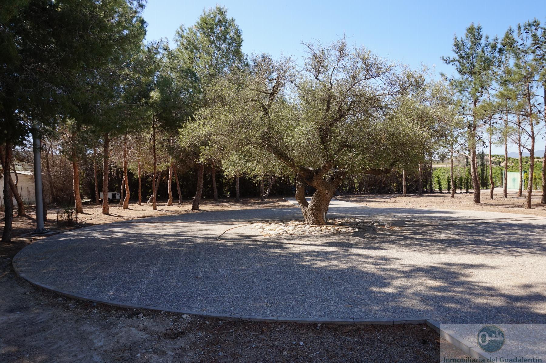 Venta de chalet en Lorca