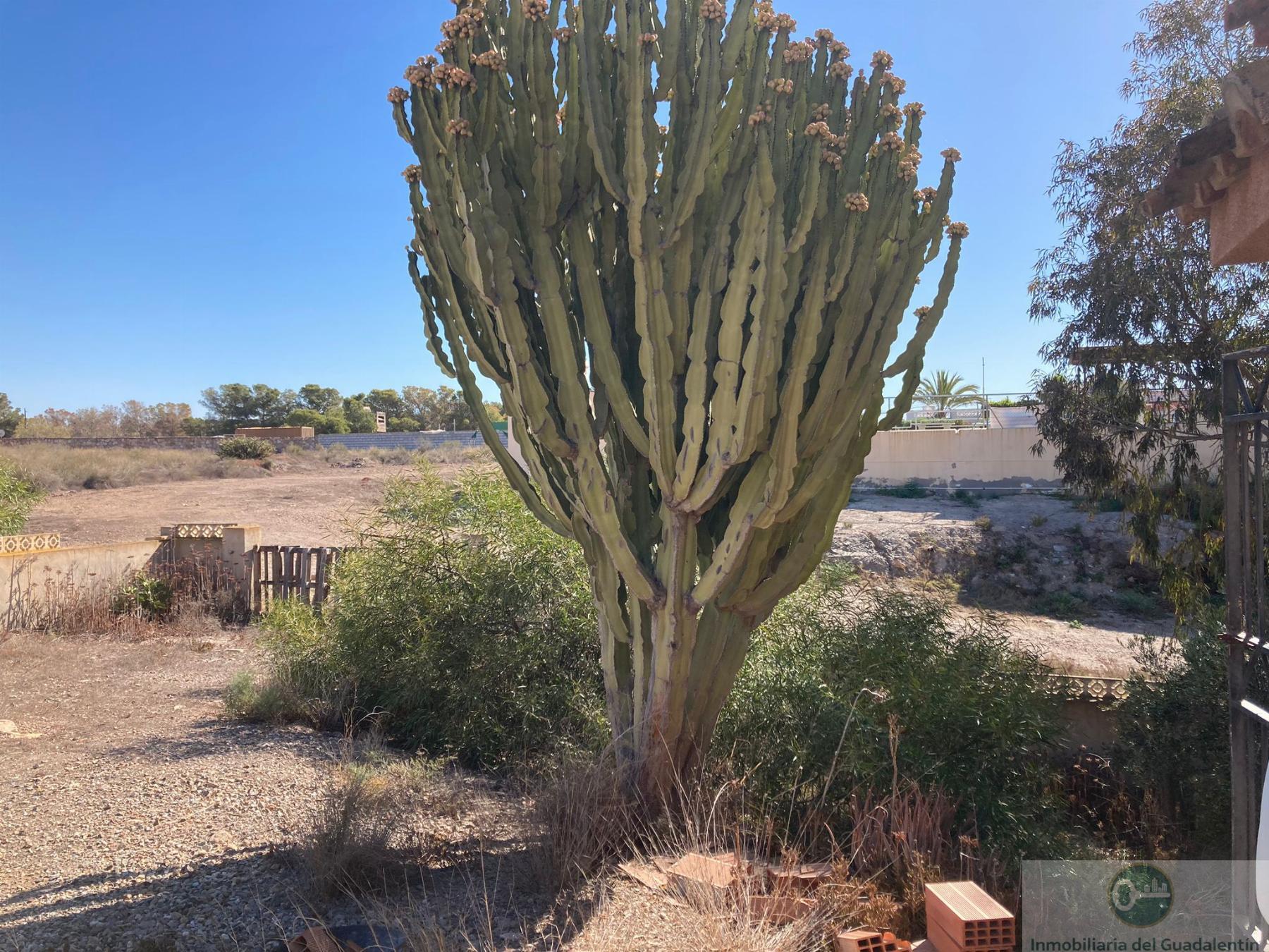 Venta de chalet en Pulpí