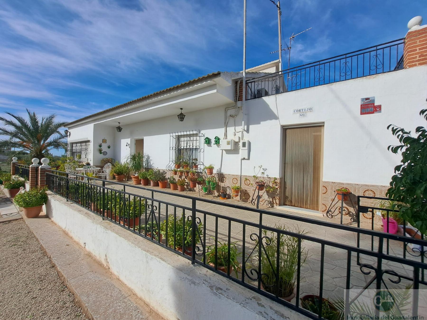 Venta de chalet en Lorca