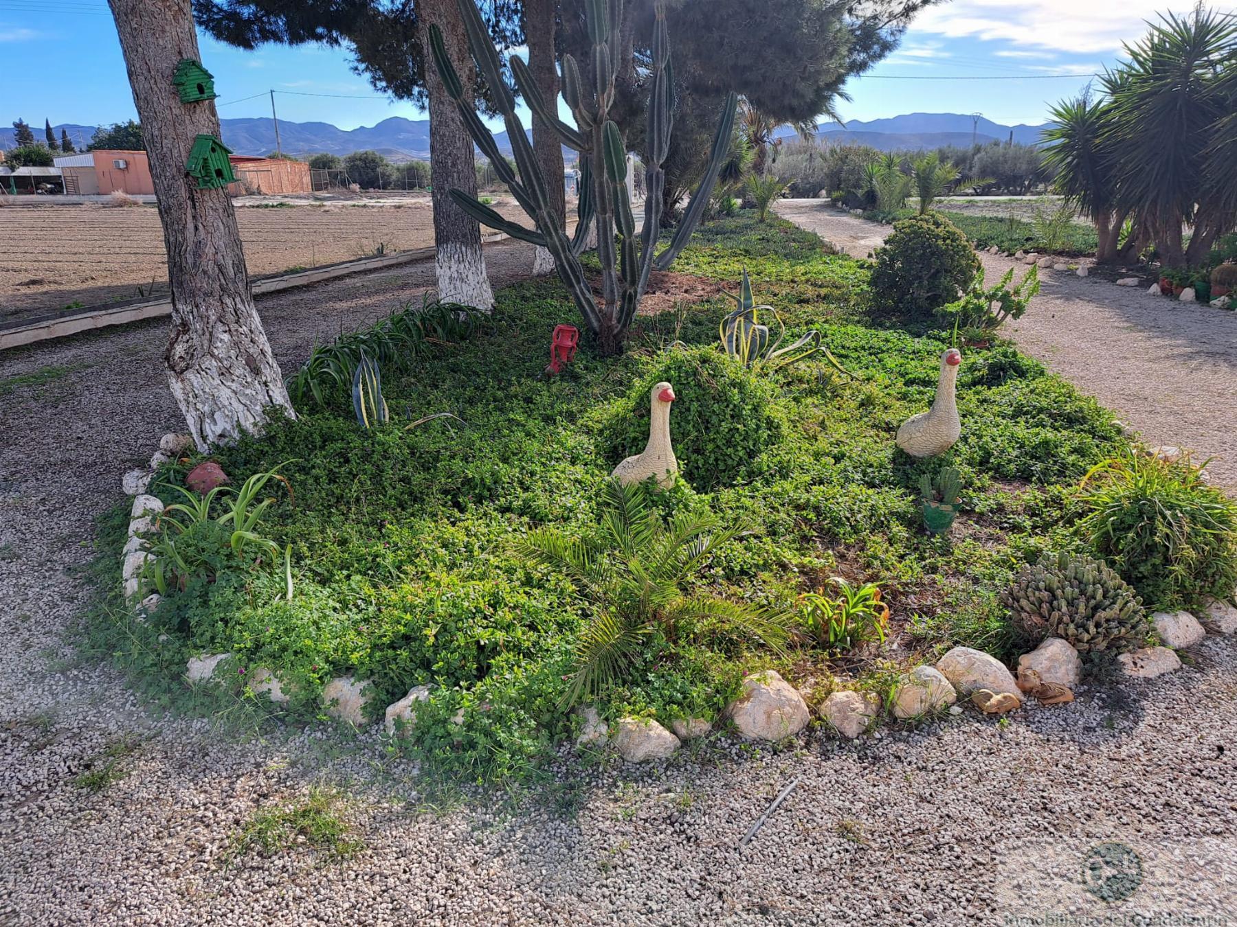 Venta de chalet en Lorca