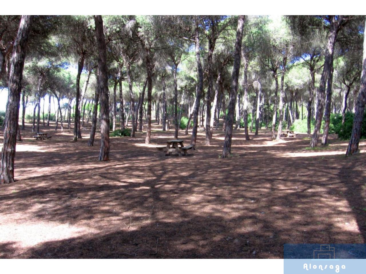 Alrededores