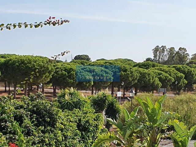 Surroundings