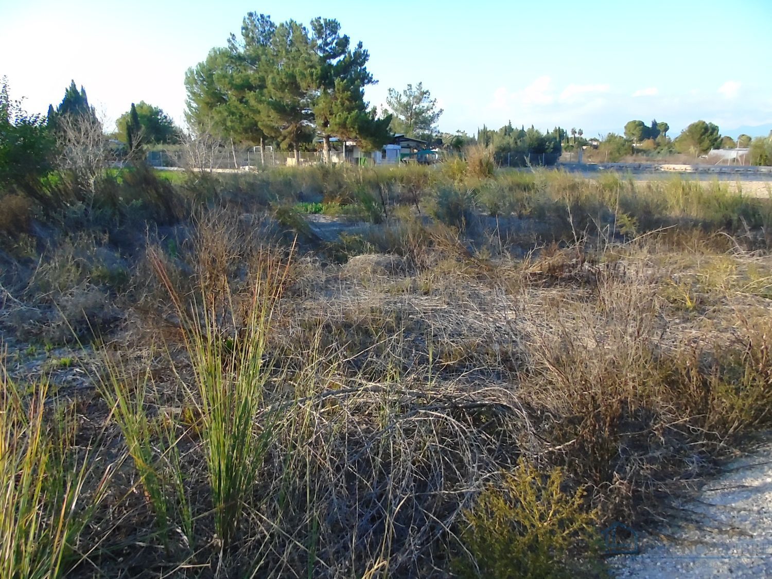 Venta de terreno en Alguazas