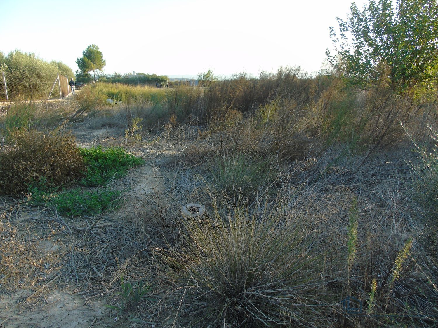 Venta de terreno en Alguazas