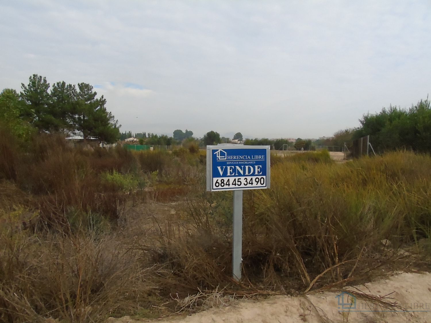 Venta de terreno en Alguazas