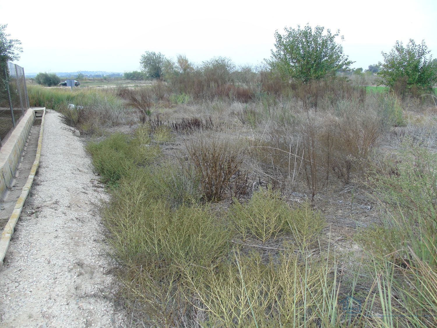 Venta de terreno en Alguazas