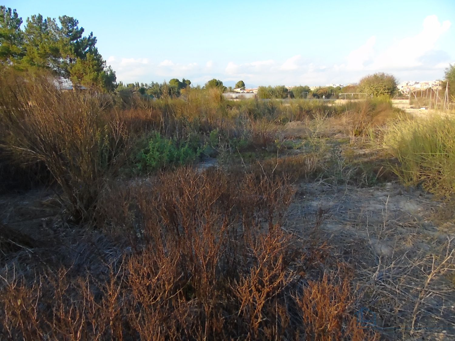 Venta de terreno en Alguazas