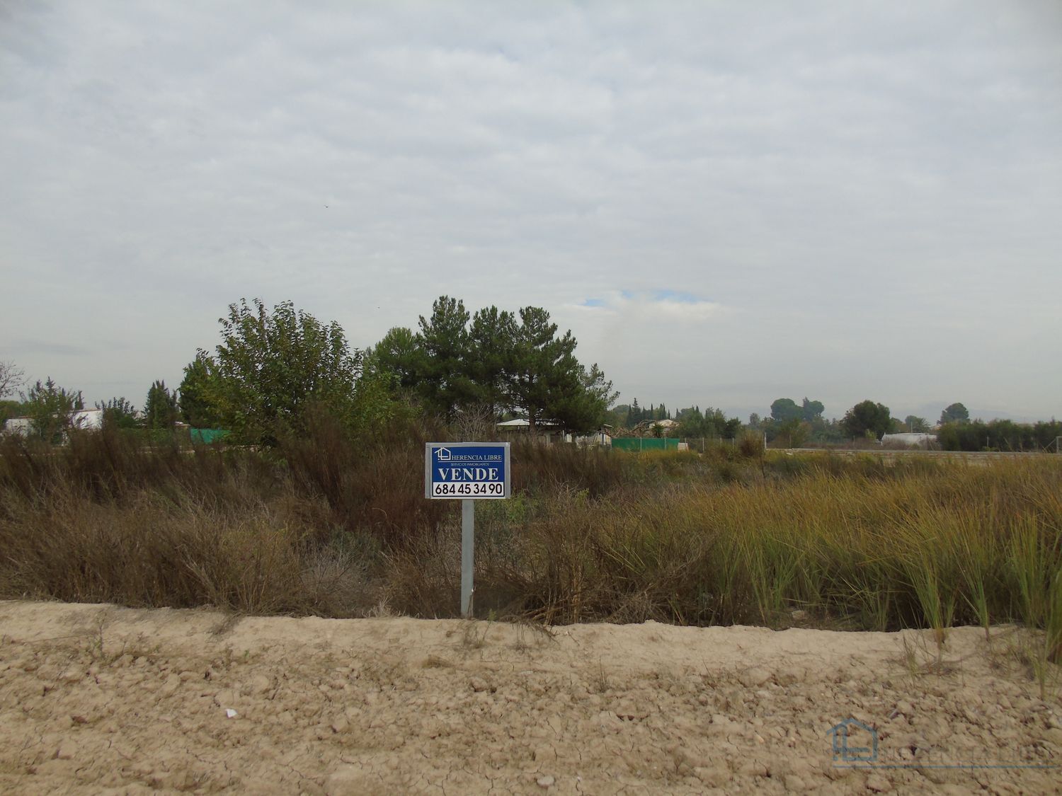 Venta de terreno en Alguazas