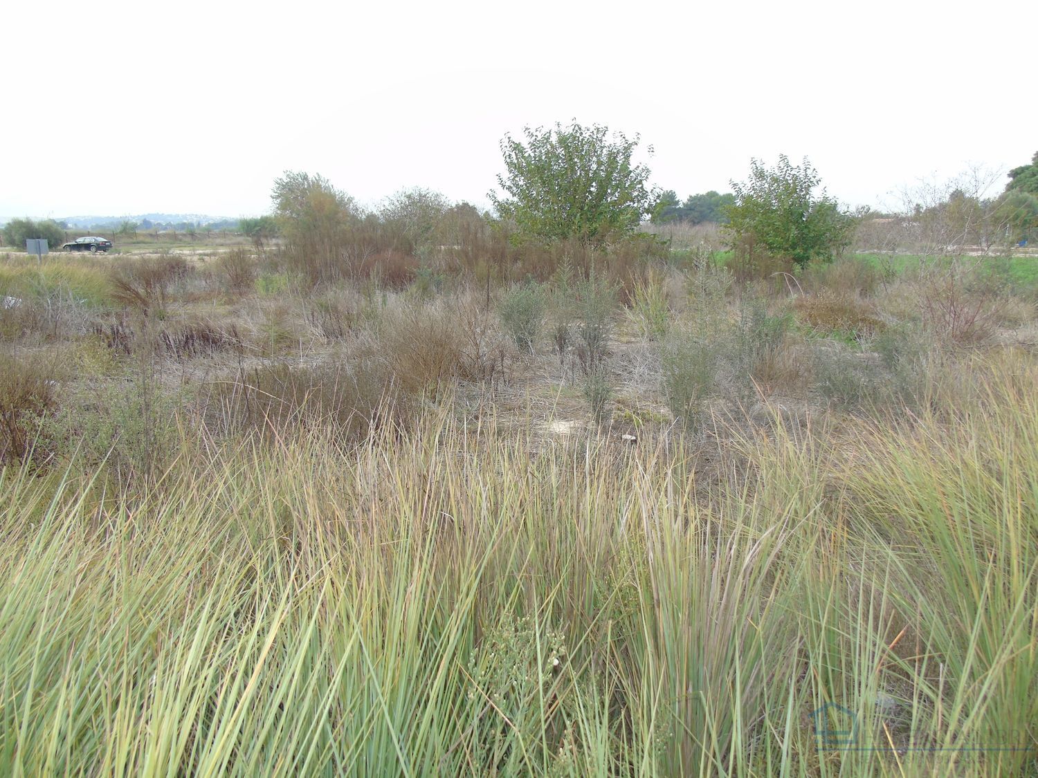 Venta de terreno en Alguazas
