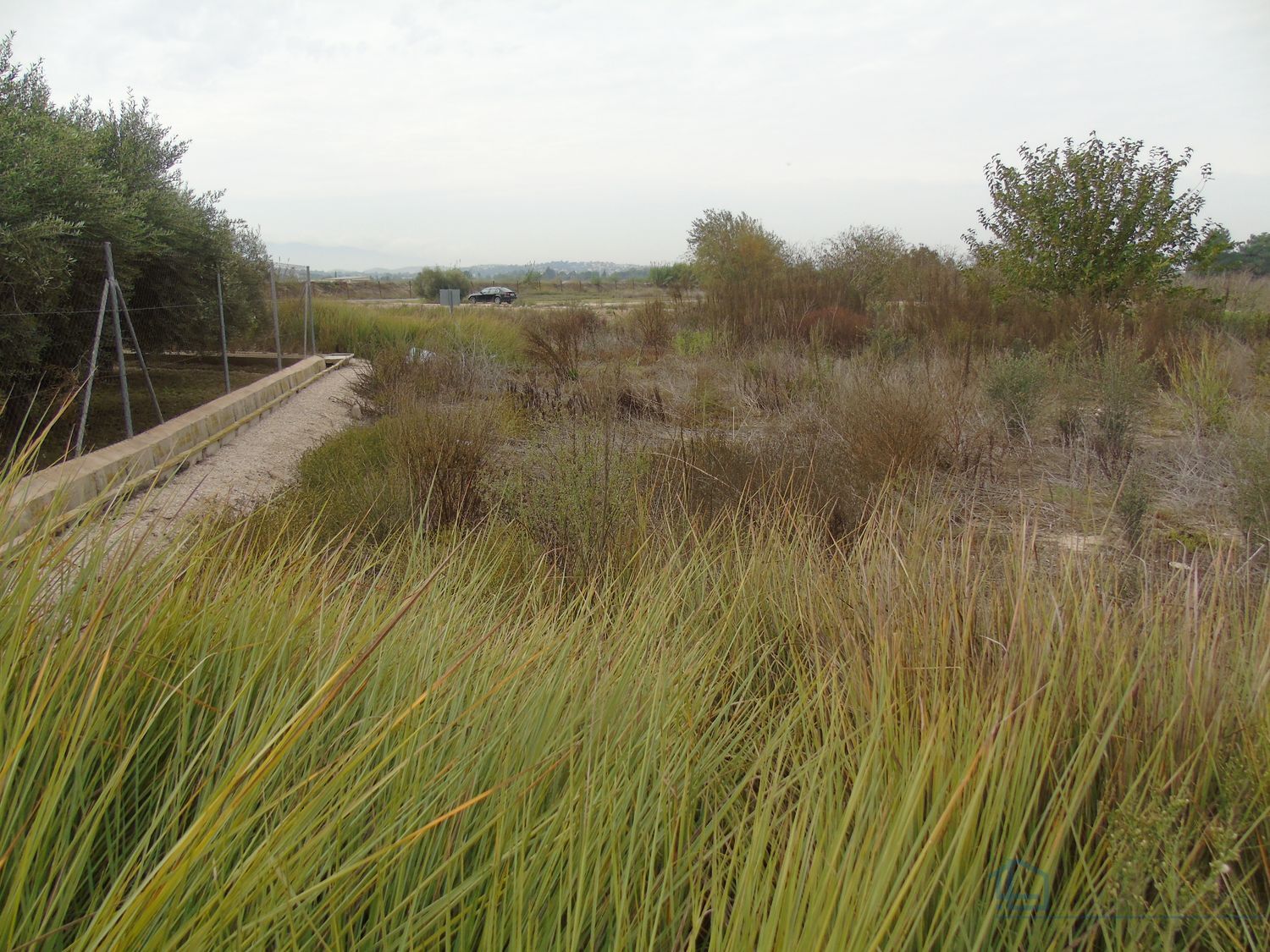 Venta de terreno en Alguazas