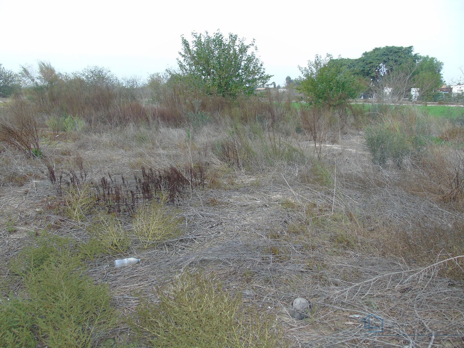 Venta de terreno en Alguazas