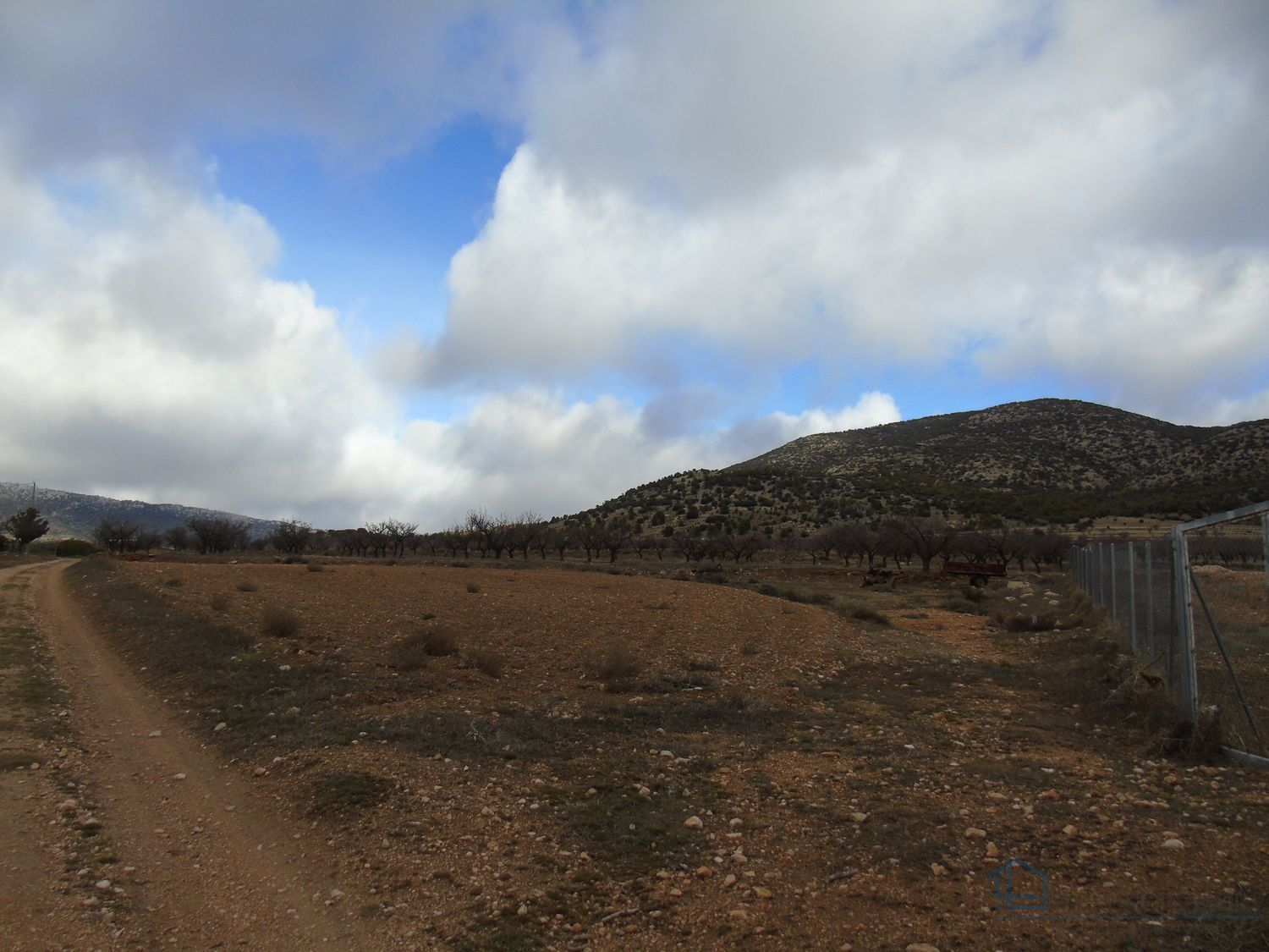 Venta de finca rústica en Moratalla