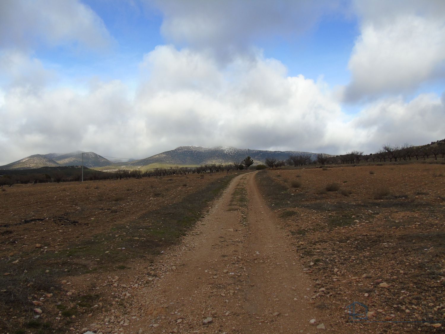 Venta de finca rústica en Moratalla