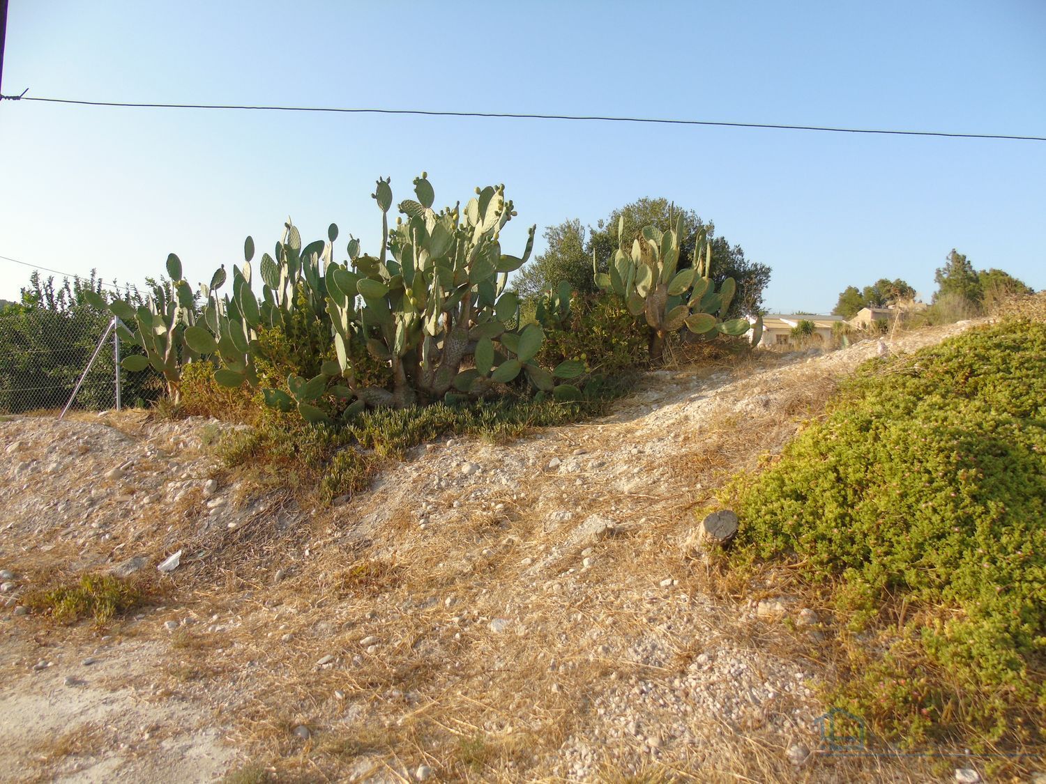 Venta de terreno en Molina de segura