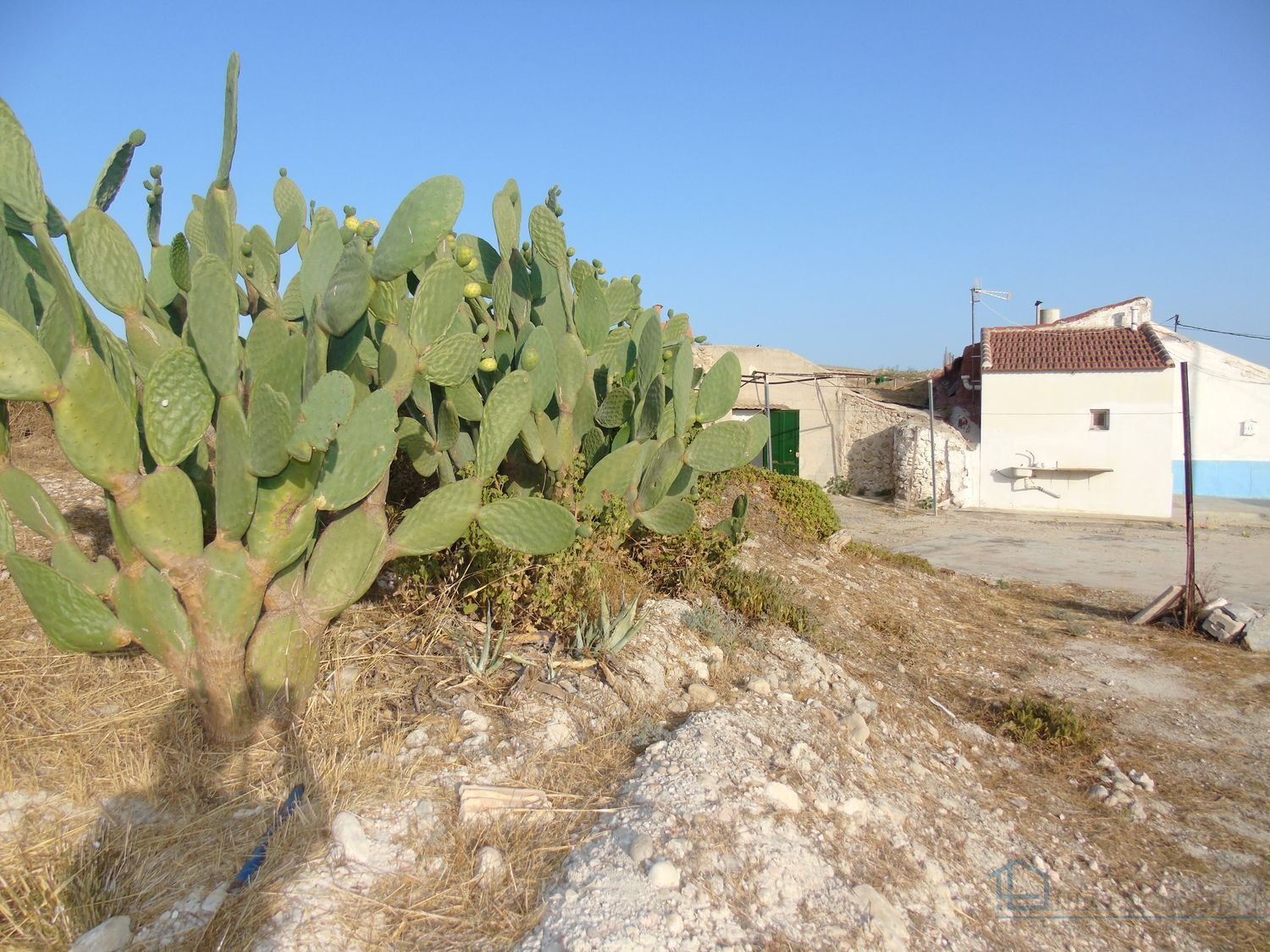 Venta de terreno en Molina de segura