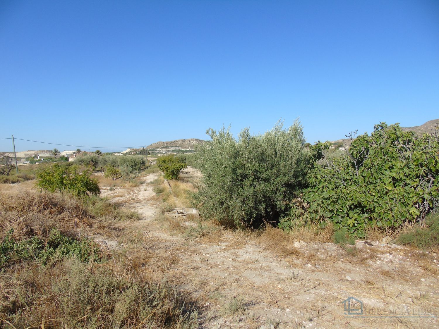 Venta de terreno en Fortuna