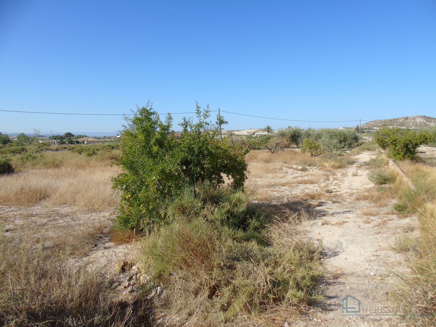 Venta de terreno en Fortuna