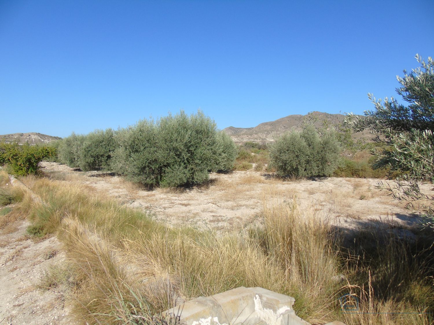 Venta de terreno en Fortuna