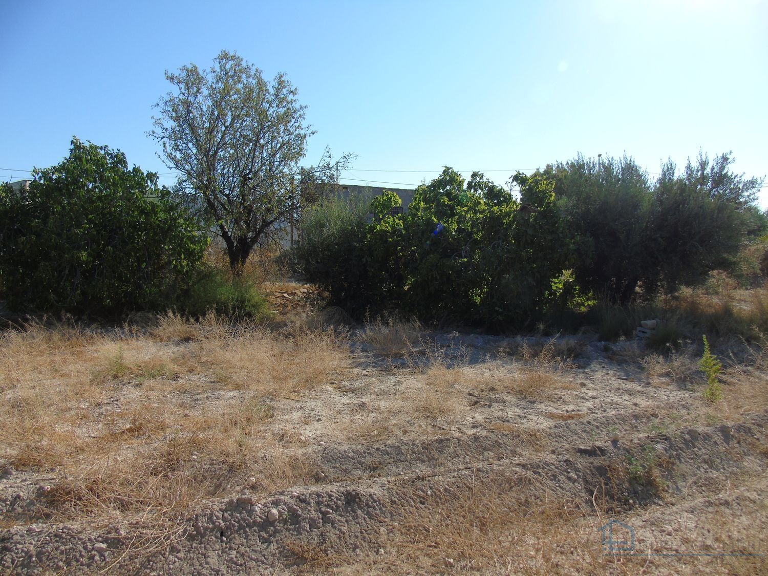 Venta de terreno en Fortuna