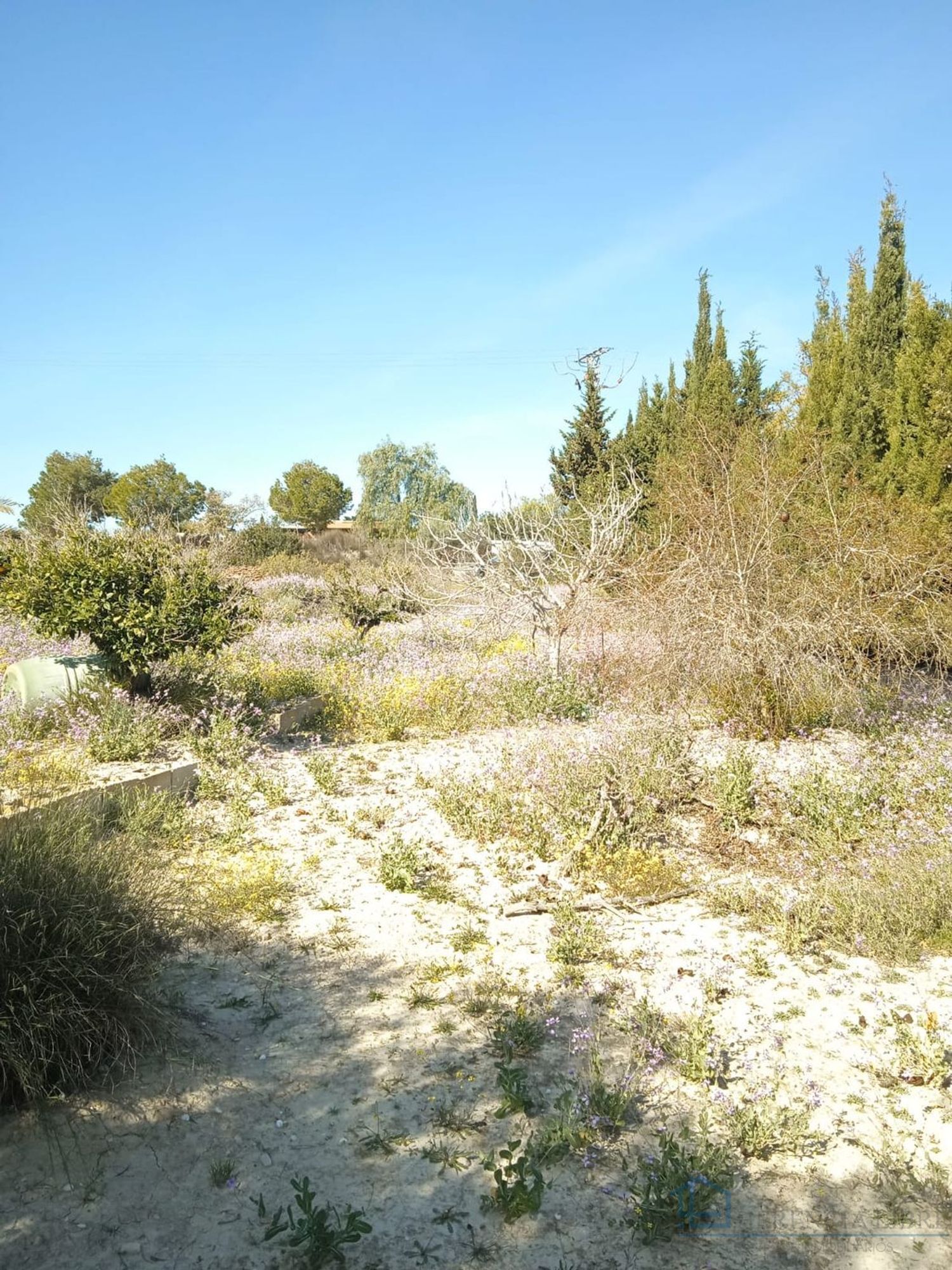 Venta de terreno en Molina de segura