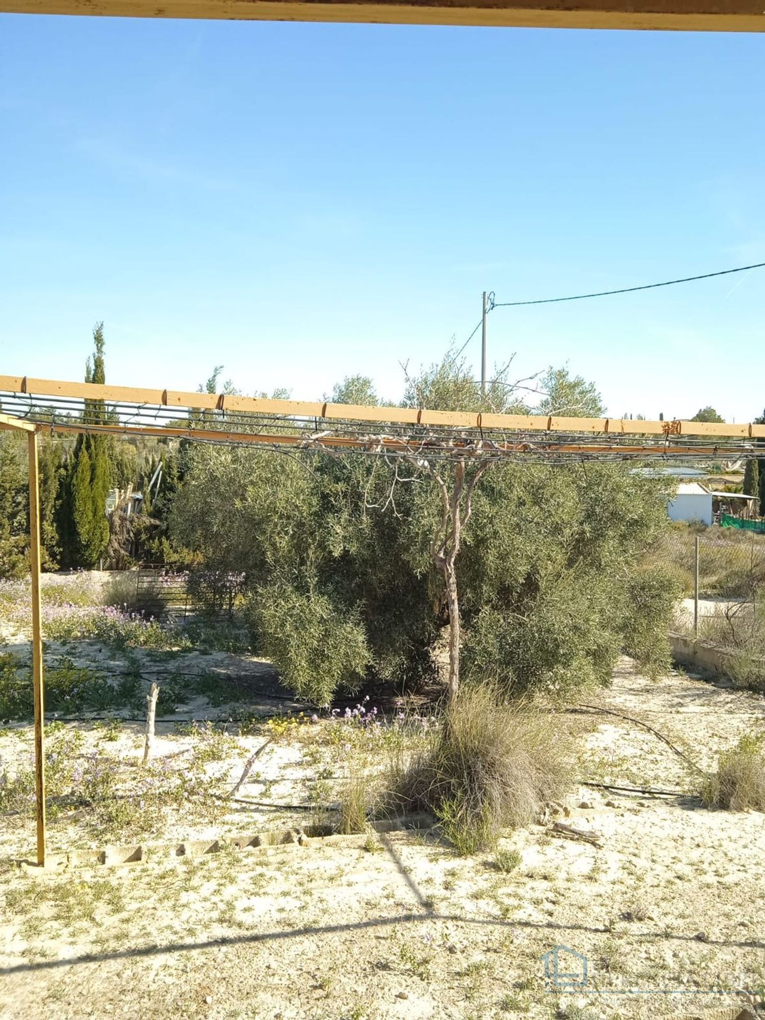 Venta de terreno en Molina de segura