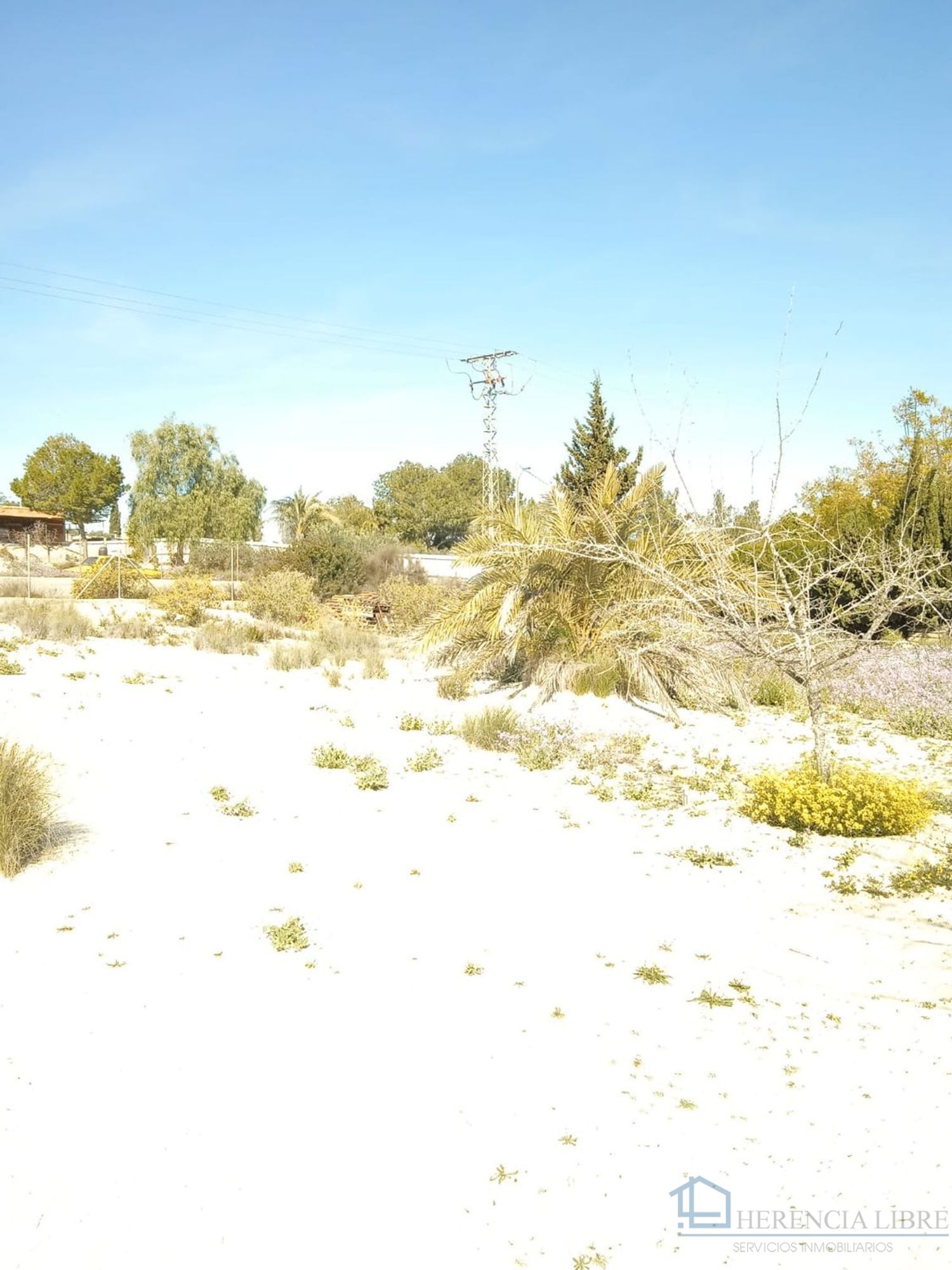 Venta de terreno en Molina de segura