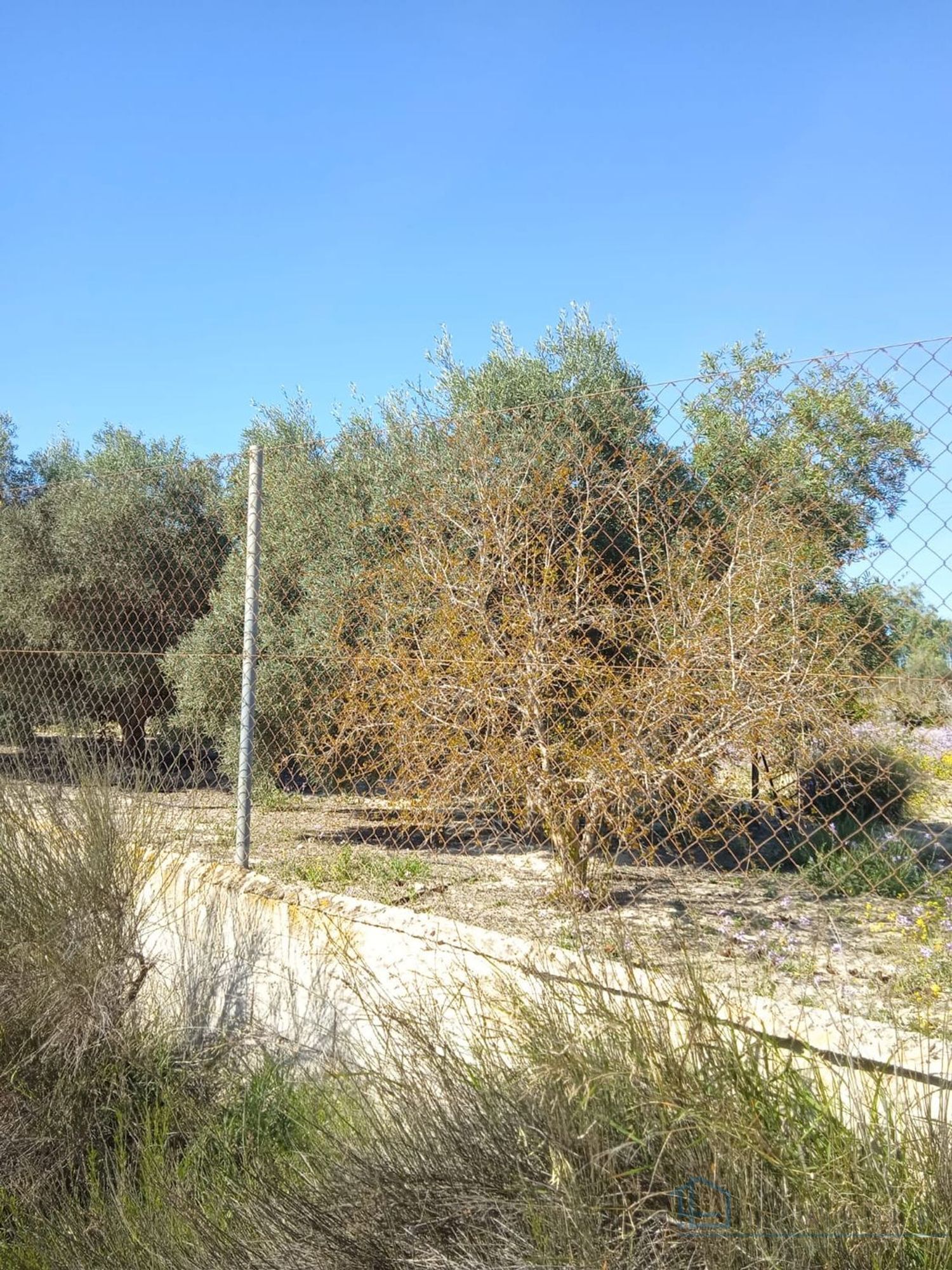 Venta de terreno en Molina de segura