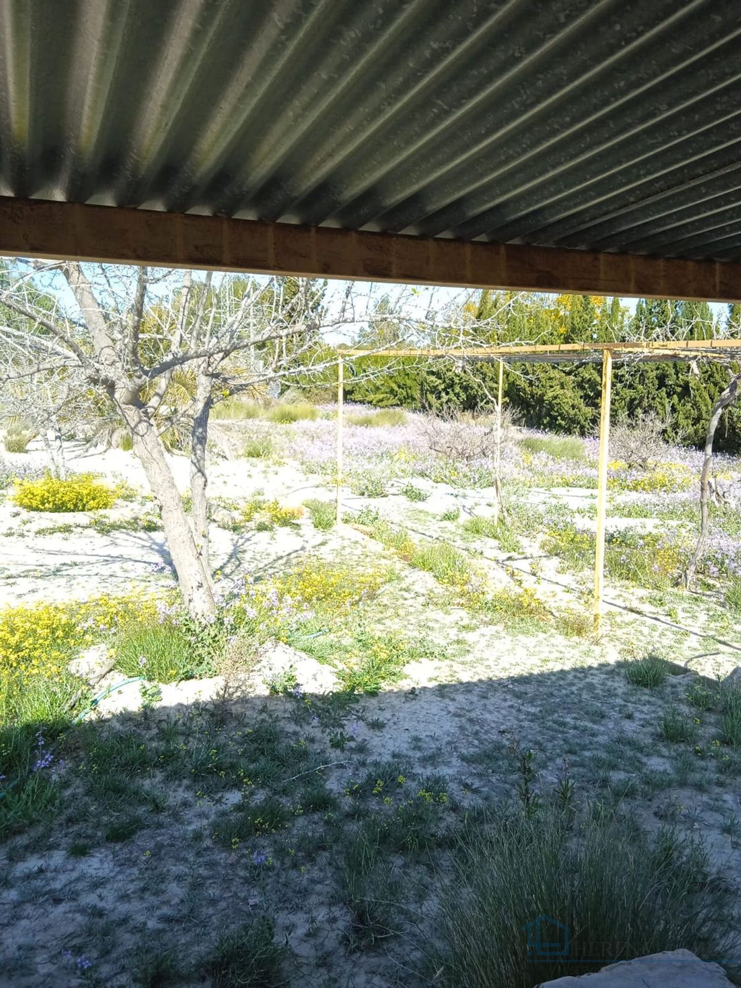 Venta de terreno en Molina de segura