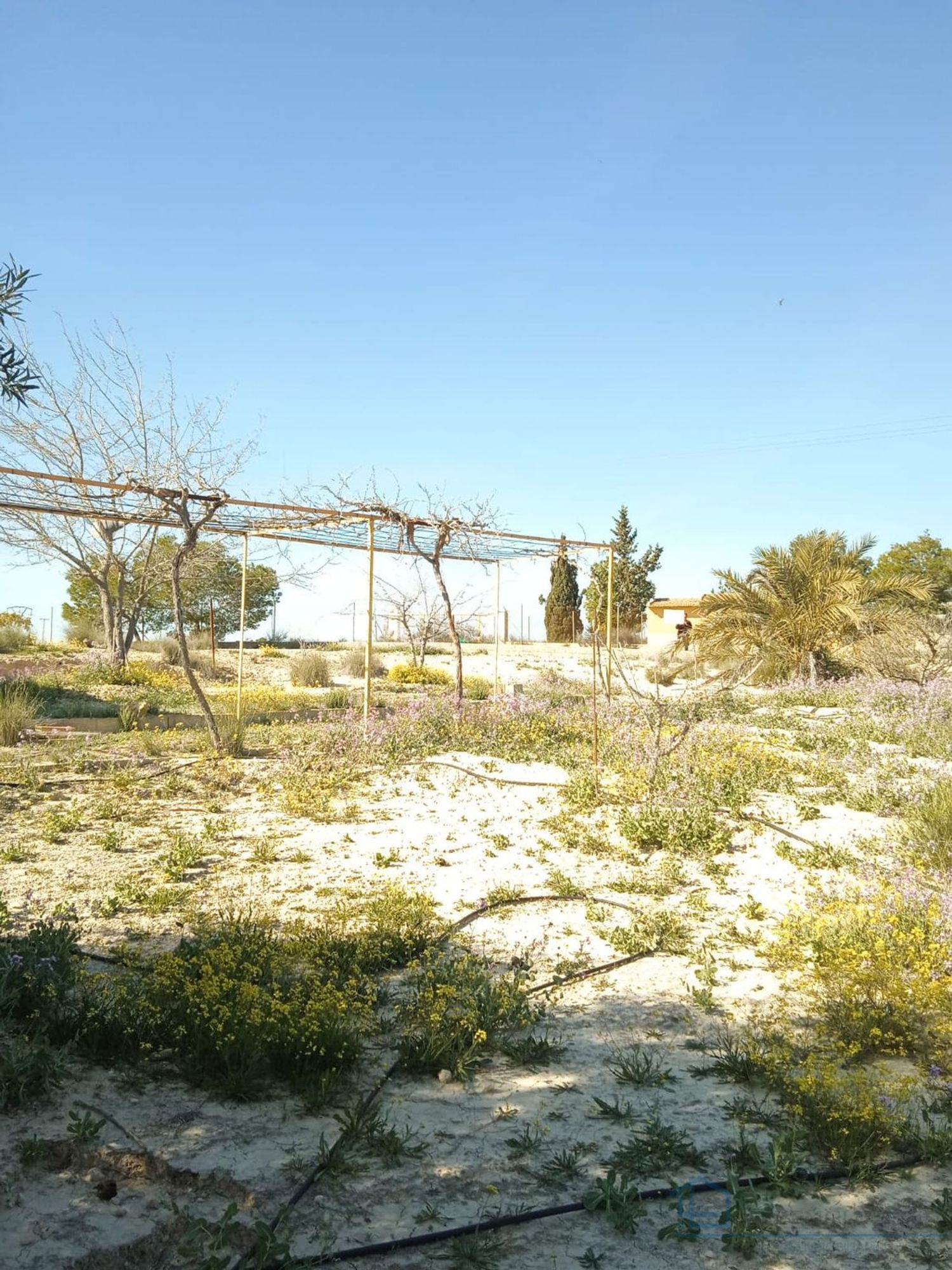 Venta de terreno en Molina de segura