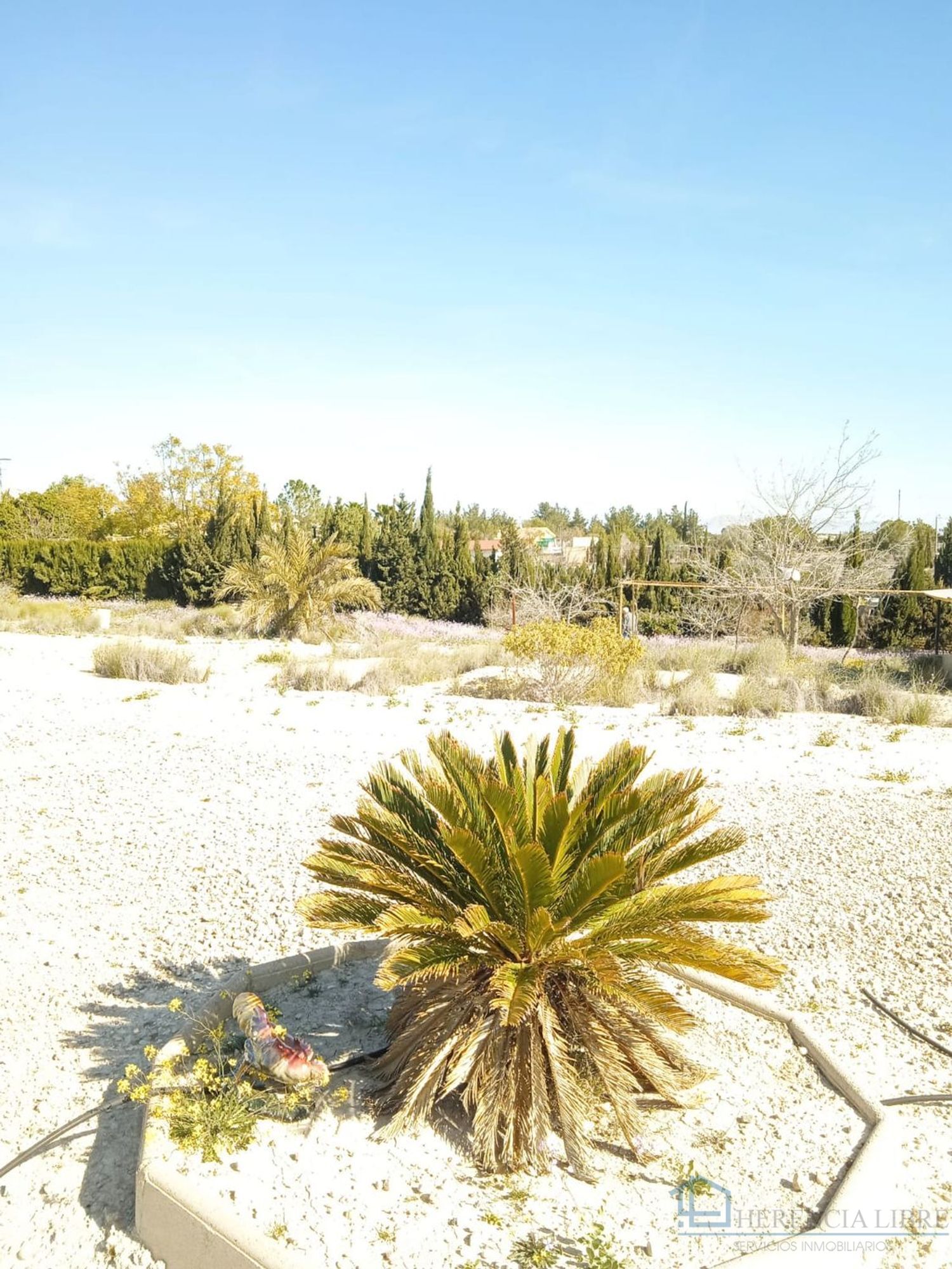 Venta de terreno en Molina de segura